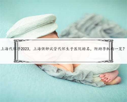 <b>上海代怀孕2023，上海供卵试管代怀生子医院排名，附助孕机构一览？</b>