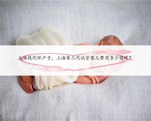 上海找代怀产子，上海第三代试管婴儿费用多少钱呢？