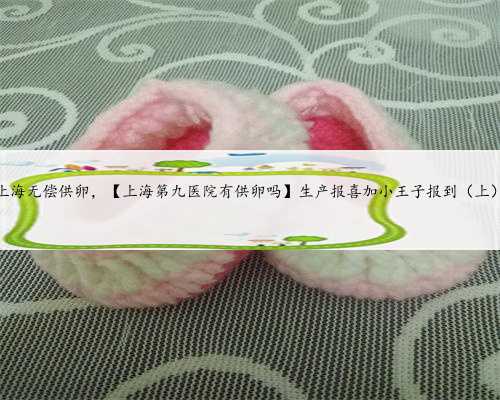 上海无偿供卵，【上海第九医院有供卵吗】生产报喜加小王子报到（上）