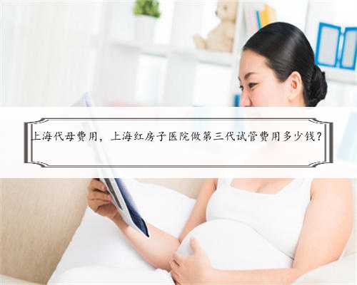 上海代母费用，上海红房子医院做第三代试管费用多少钱？
